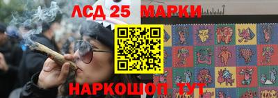 гидра Новокубанск